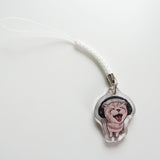 Cat Meme Phone Charms