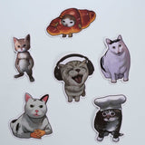 Silly Cat Sticker Packs