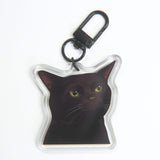 Cat Meme Keychains V2 [NEW AND IMPROVED]