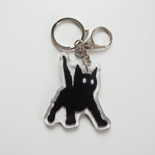 SPOOKED Cat Keychain